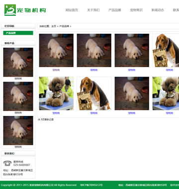 大图-d074宠物动物机构类网站织梦模板(带手机端)