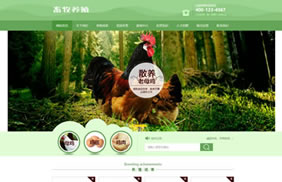 k104家禽畜牧养殖类网站织梦模板(带手机端)