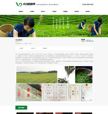 大图-m006(带手机站)茶叶企业网站源码 dedecms绿色茶叶网站织梦模板